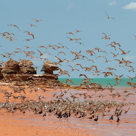 Broome Bird Observatory Exterior photo